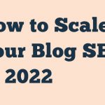 Blog Seo 2022