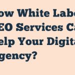 How White Label Seo Services Can Help Your Digital Agency