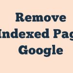 Remove Indexed Page Google